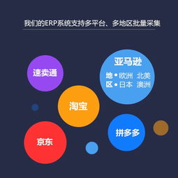 亞馬遜采集上傳erp軟件系統(tǒng)專(zhuān)業(yè)定制部署搭oem貼牌